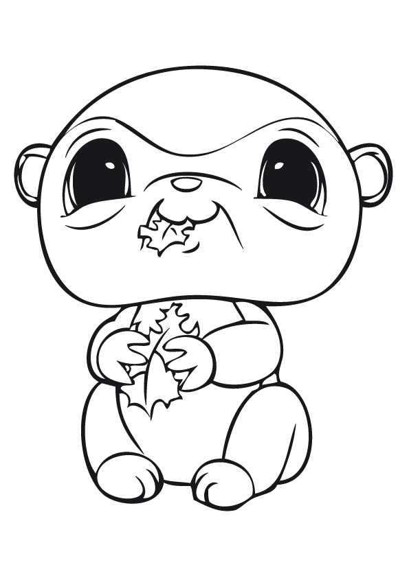 littlest pet shop coloring pages bunny