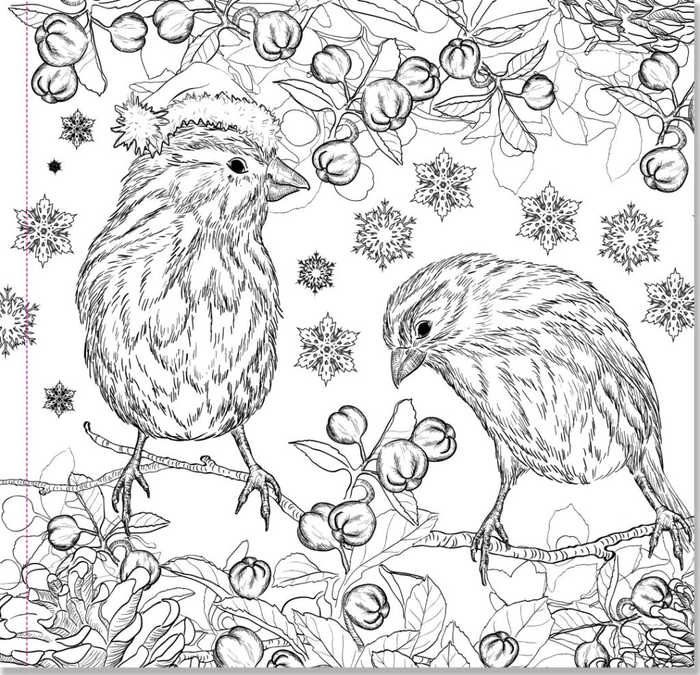 Christmas Birds Coloring Pages For Adults