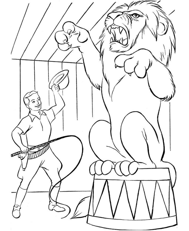 Circus Lion Coloring Pages