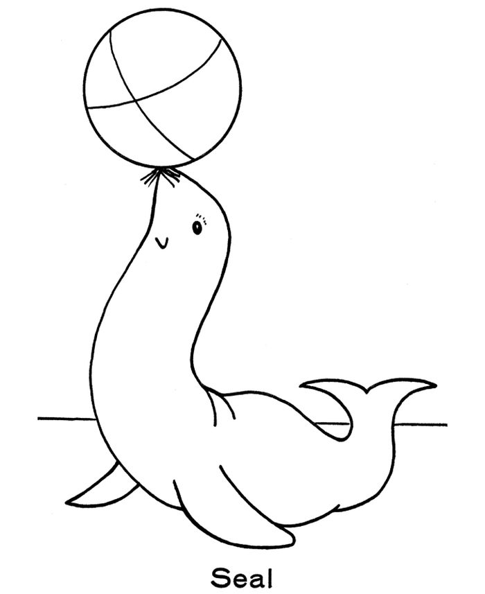 Circus Seal Coloring Pages