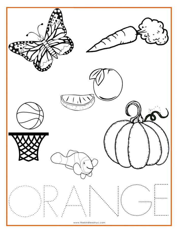 Color Orange Worksheet For Kindergarten