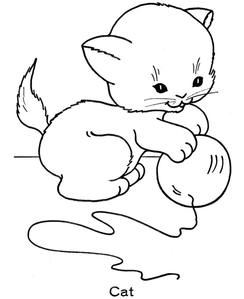 Coloring Page Cat