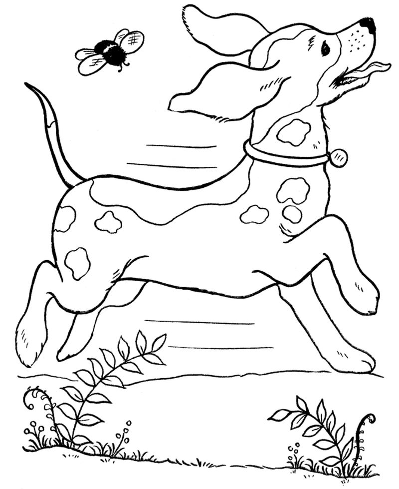Coloring Page of a Dog