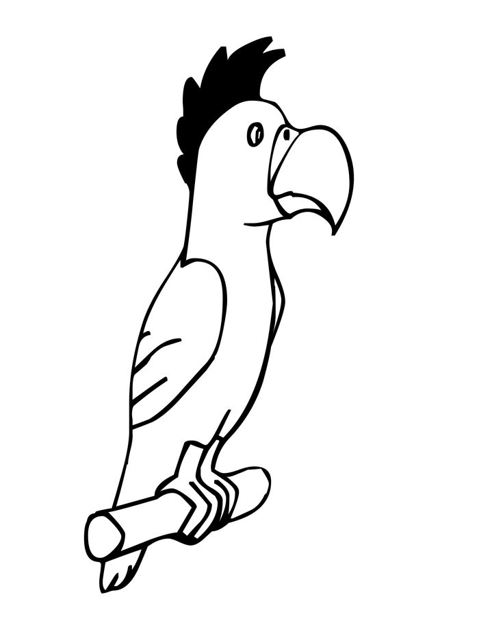 Coloring Pages Colored Real Parrot Yellow Bird