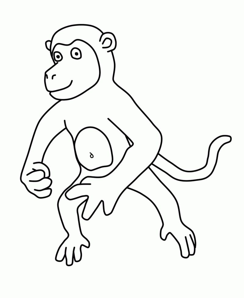 Coloring Pages Monkey