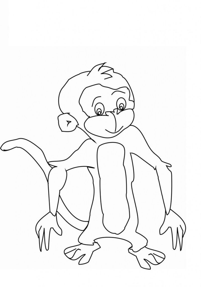 Coloring Pages Monkeys