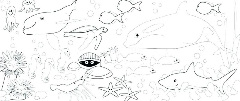 Coloring Pages Ocean Creatures