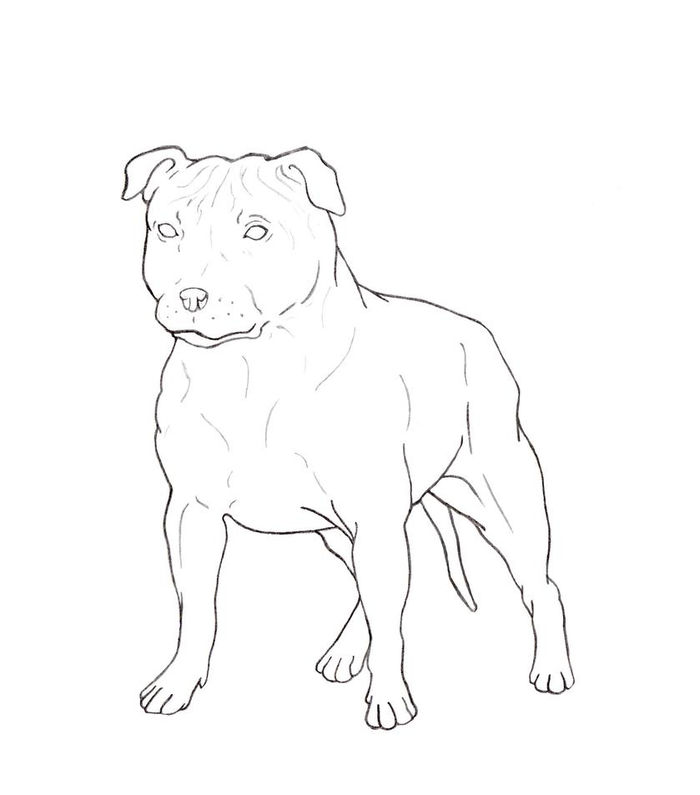 Coloring Pages Of A Pictures Of Pitbull That Are Black And White