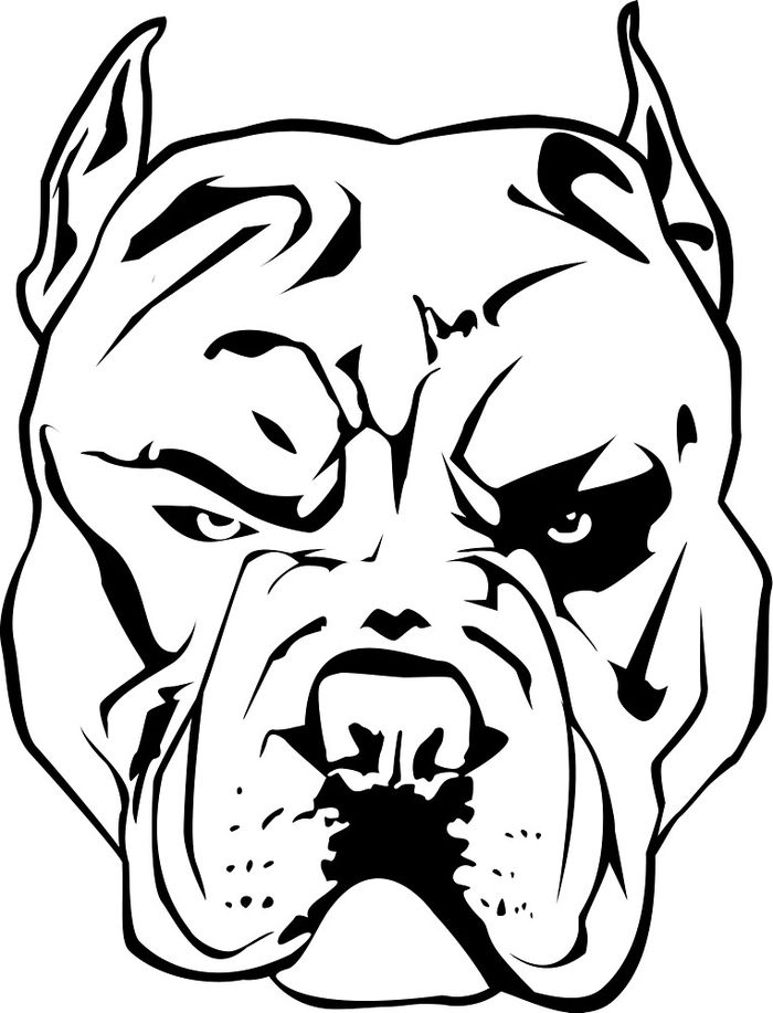 Coloring Pages Of A Pitbull Dogs That Are Colored In