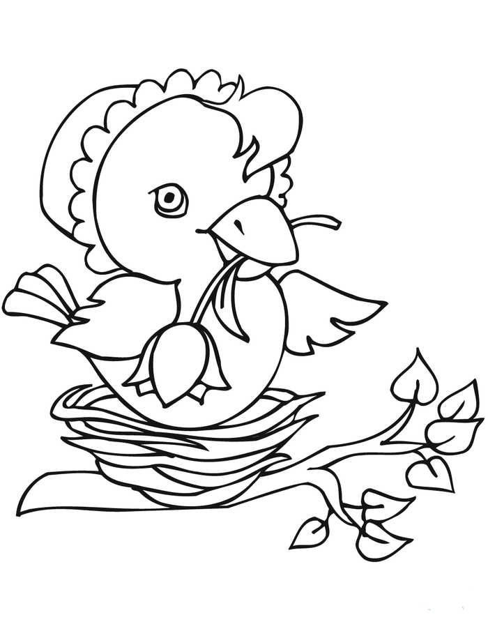 Coloring Pages Of Easter Chicks