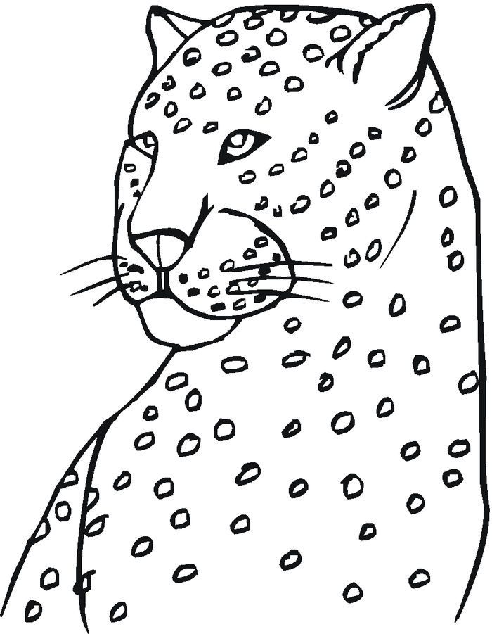Coloring Pages Of Rainforest Leopard