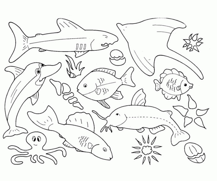 Coloring Pages Of Sea Animals