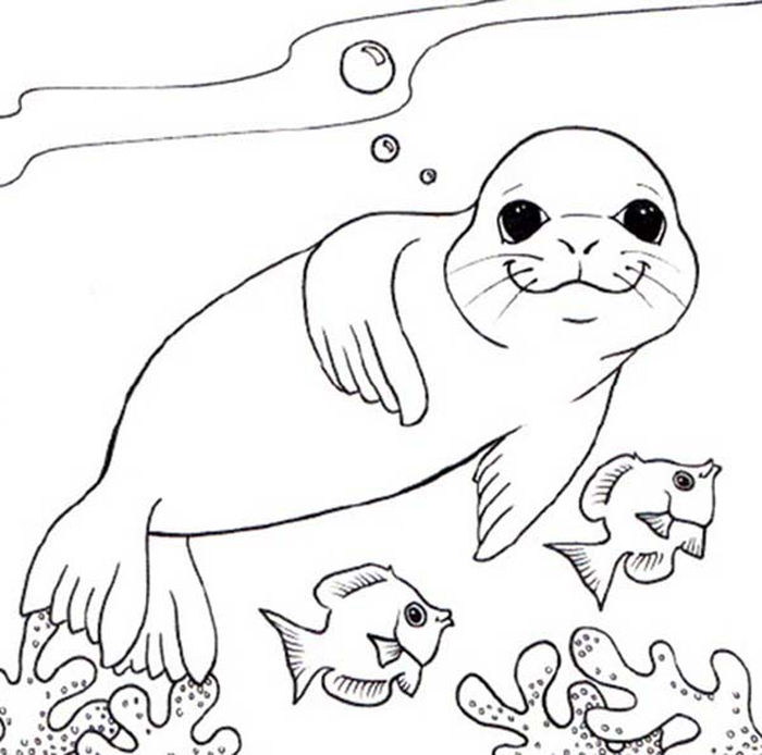 Coloring Pages Of The Seal From Barbie Mermaod