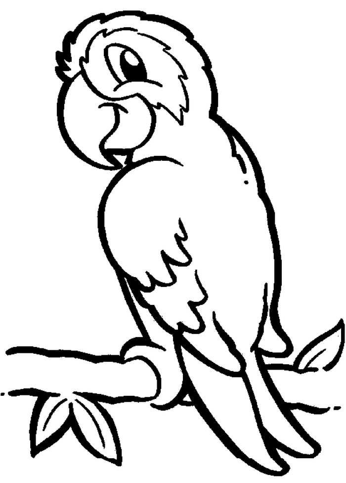 Coloring Pages Parrot Eye Test
