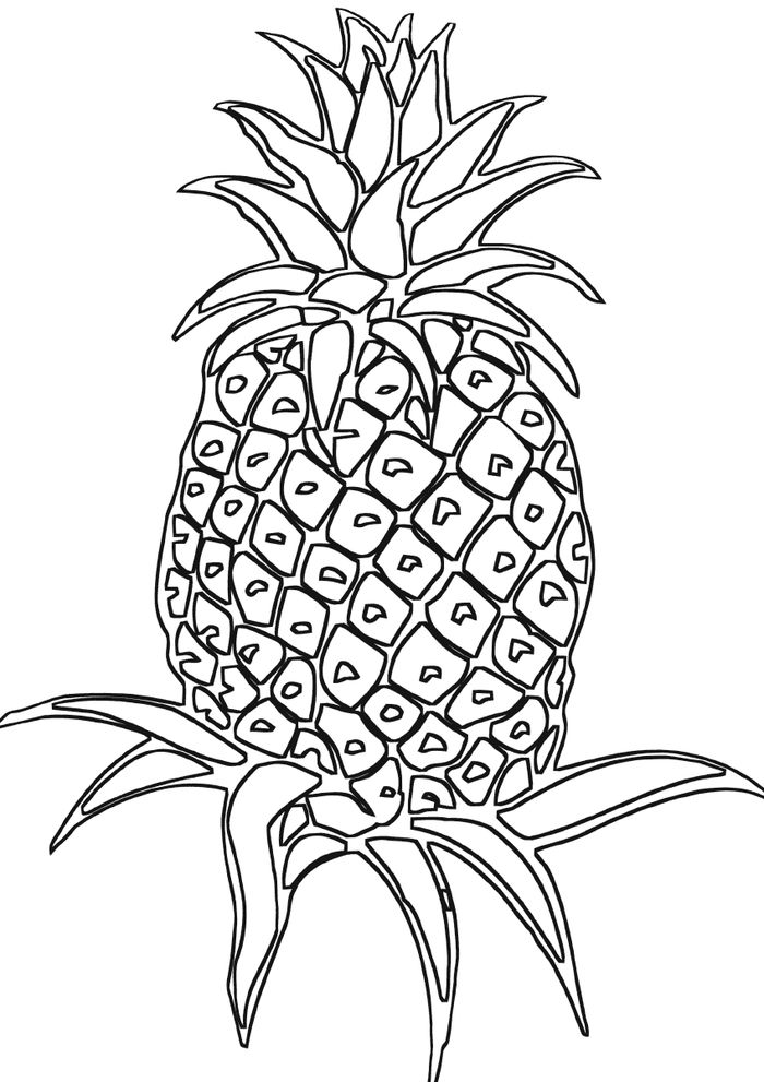 Coloring Pages Perfect Pineapple Design