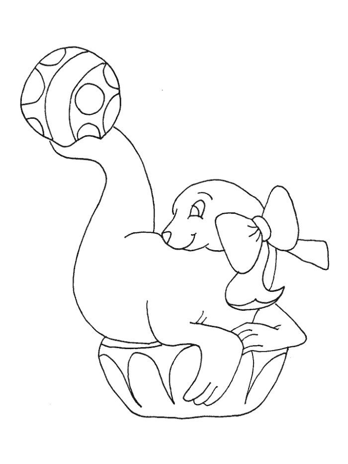Coloring Pages Seal Images