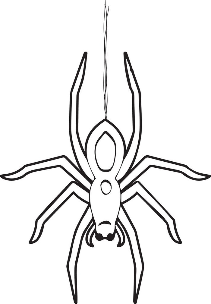 Coloring Pages Spider