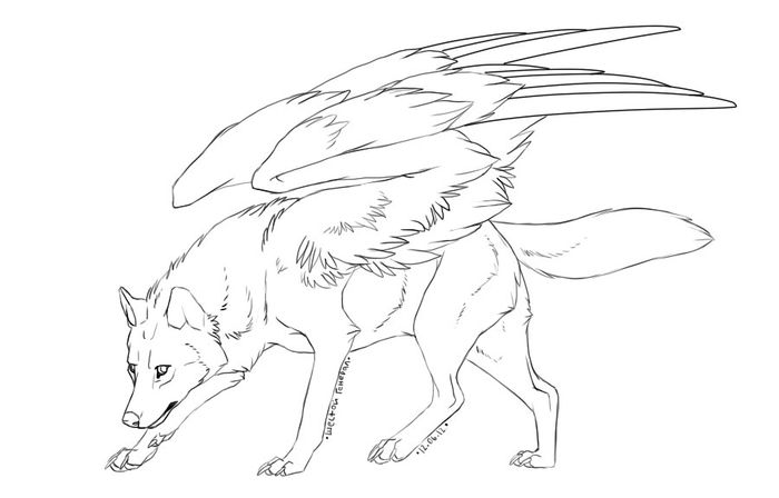 Coloring Pages Wolves With Wings Printable