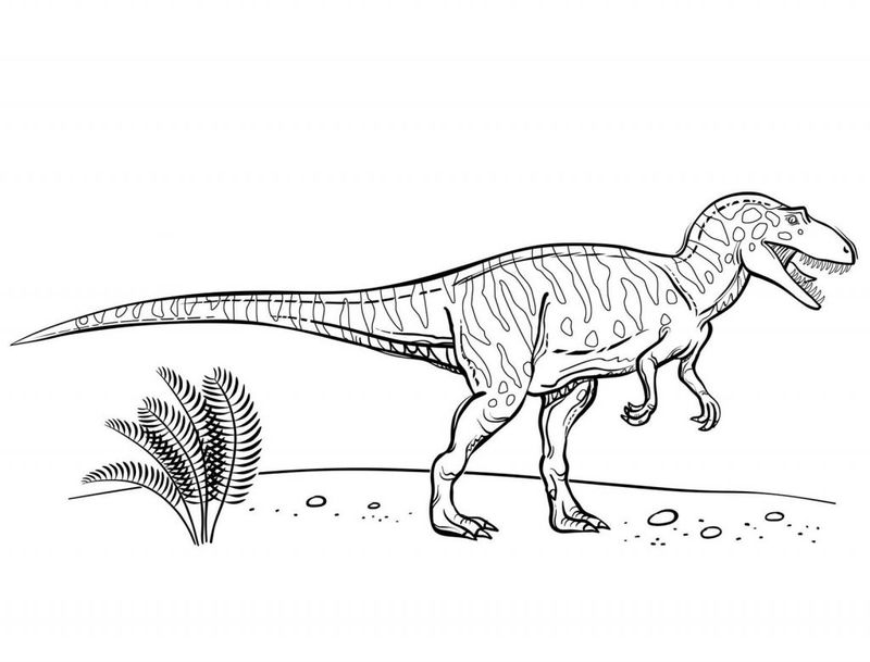 Coloring Pages of Dinosaurs For Kids