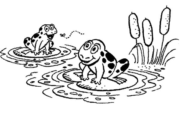 Coloring Pages of Lily Pad