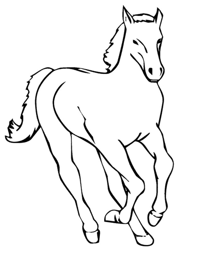Coloring Pages of a Horse
