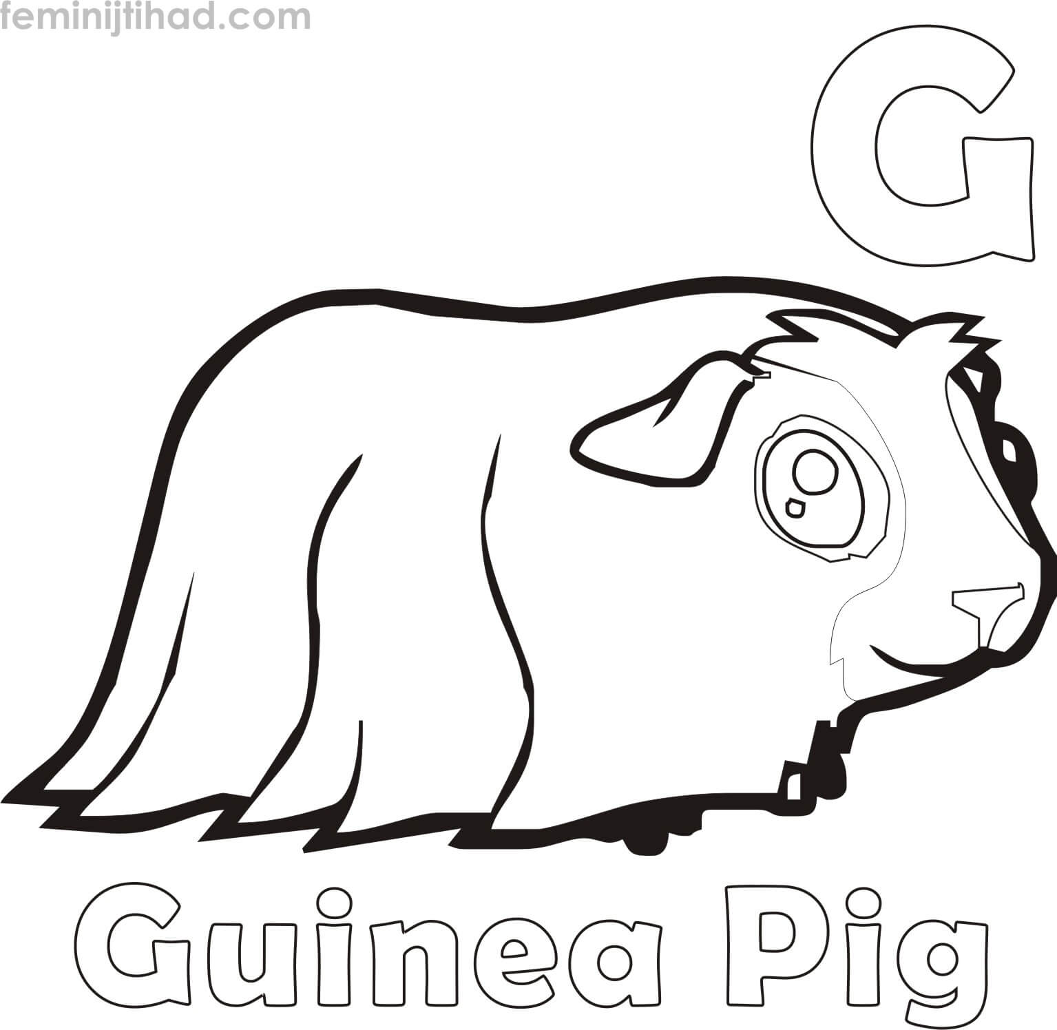 Coloring Page of Guinea Pig