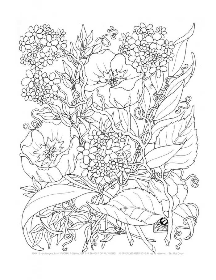 Complex Flower Coloring Pages For Adults