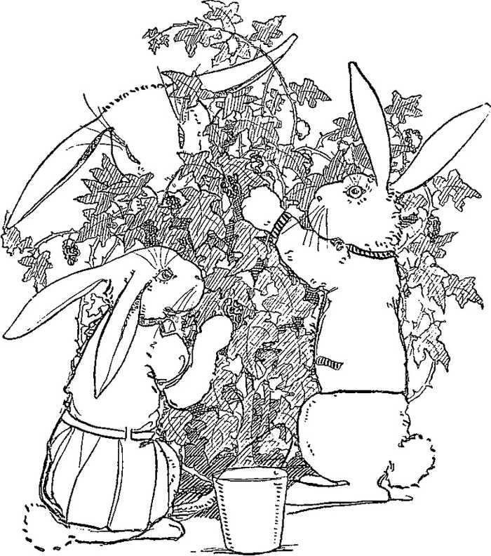 Complex Peter Rabbit Coloring Pages
