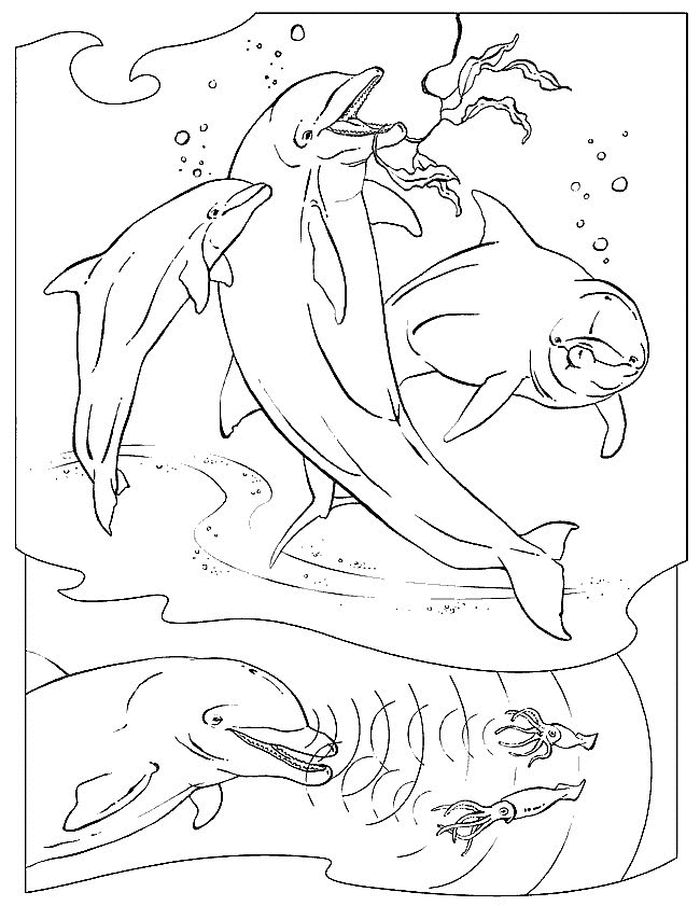 Cool Coloring Pages Of Animals In The Sea For Kids