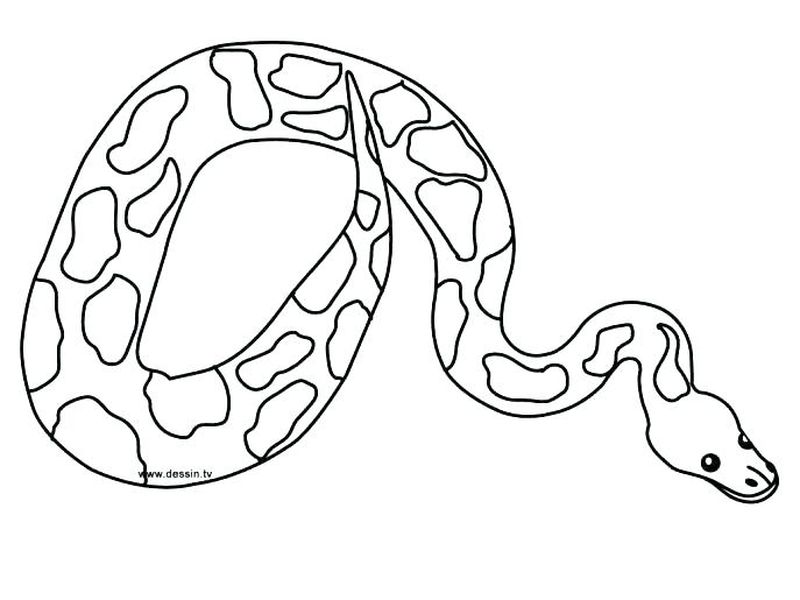 Copperhead Snake Coloring Pages