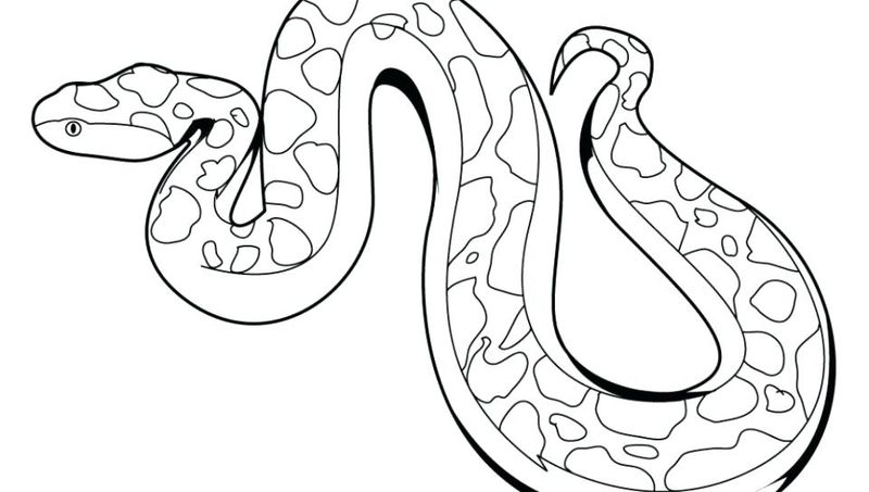 Corn Snake Coloring Pages