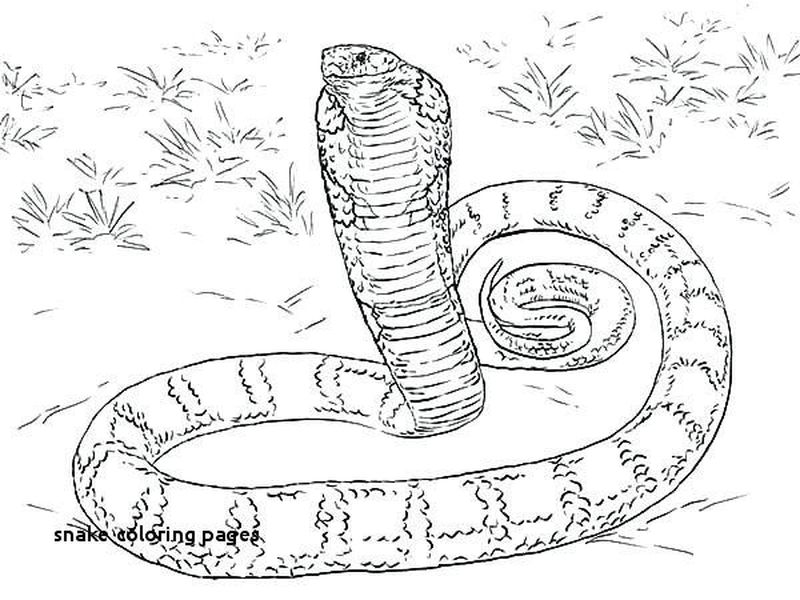 Cottonmouth Snake Coloring Pages