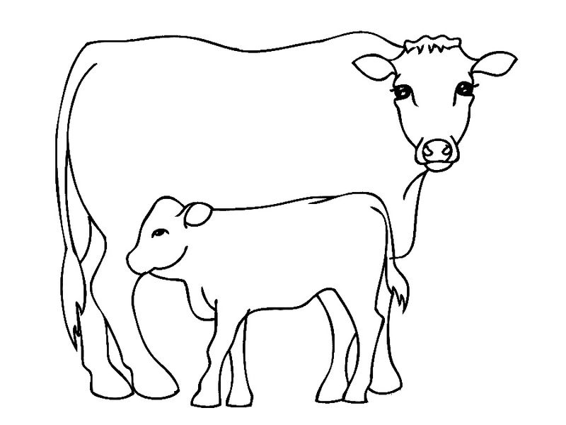 Cow Coloring Pages Cartoon