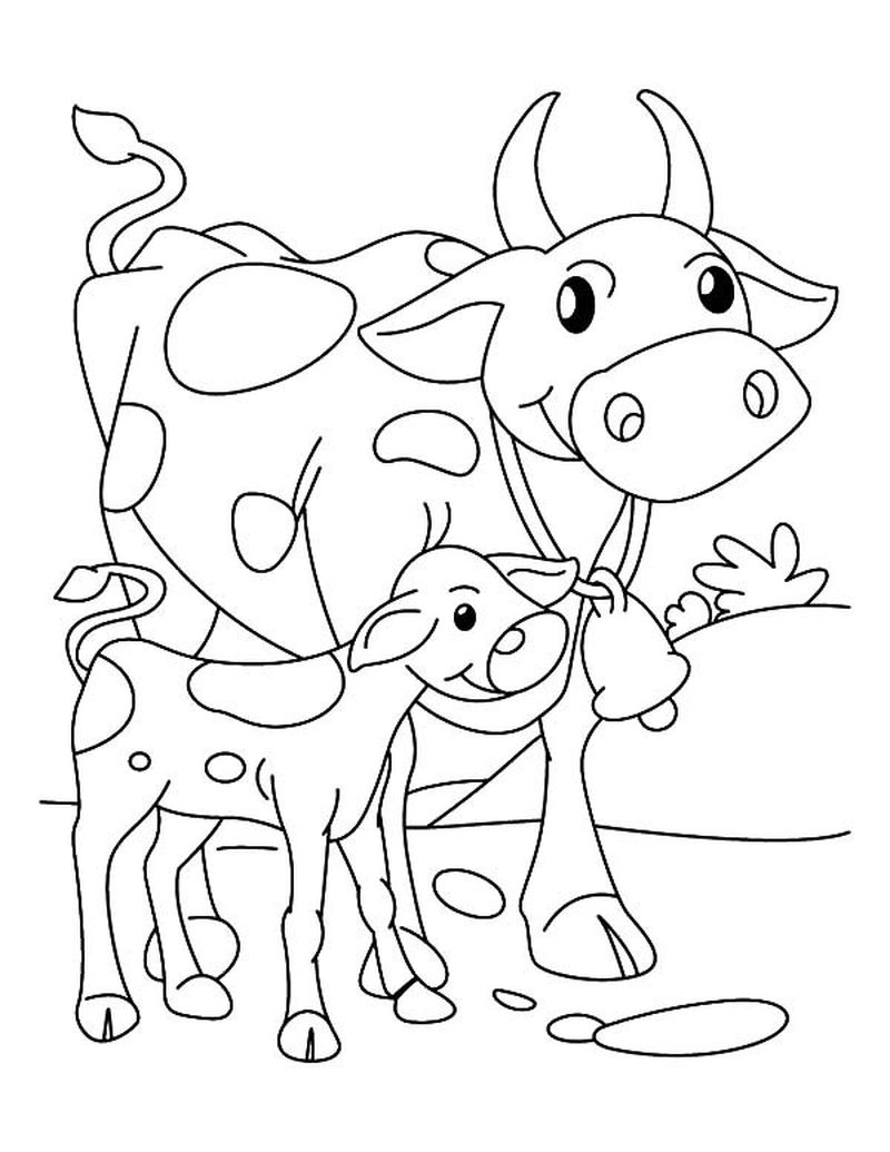 Cute Cow Coloring Pages PDF - Coloringfolder.com