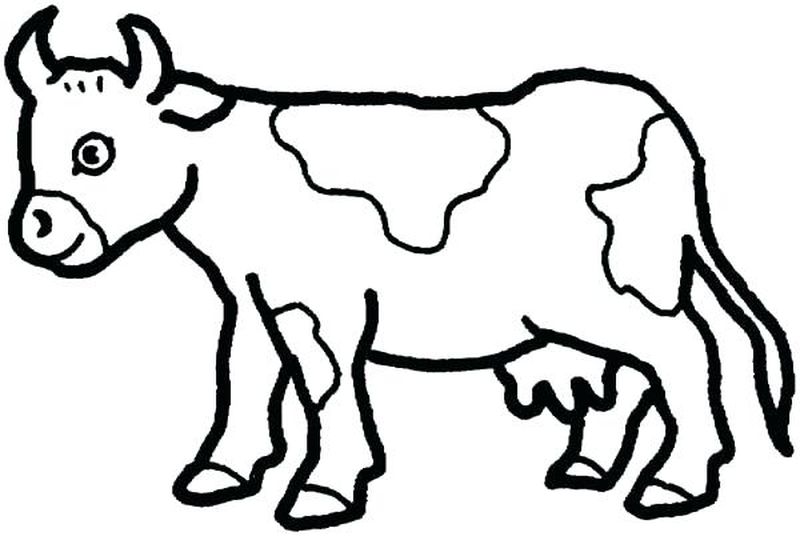 Cow Coloring Pages For Kids To Print