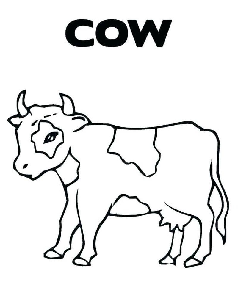 Cow Coloring Pages For Toddlers