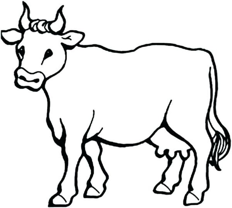 Cute Cow Coloring Pages PDF - Coloringfolder.com