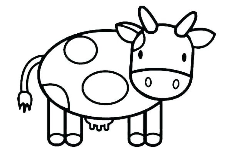 Cow Coloring Pages To Print