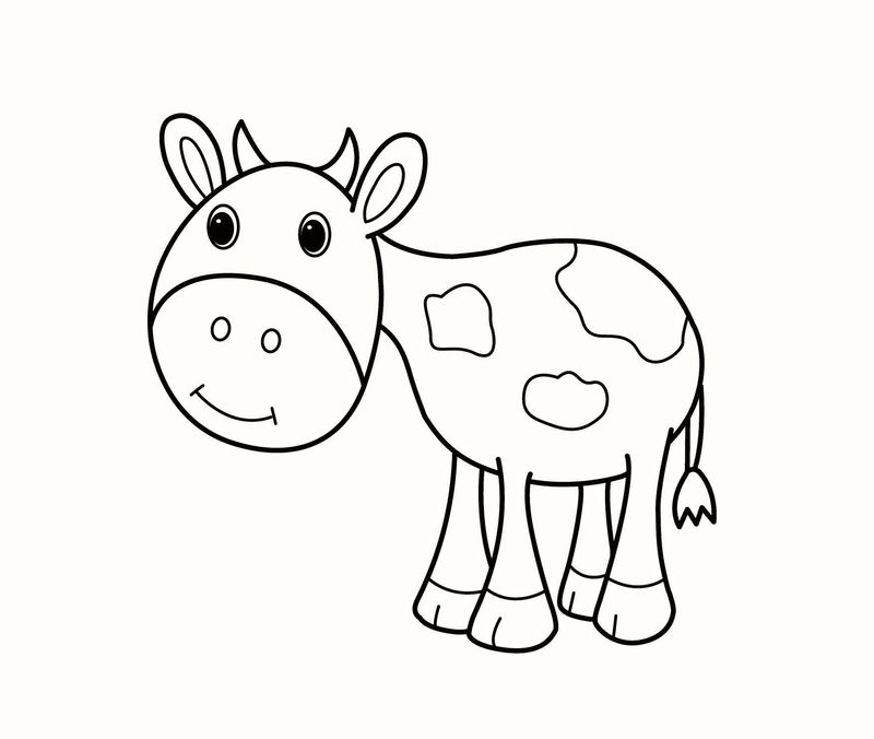 Cow Cow Cow Coloring Pages Kids