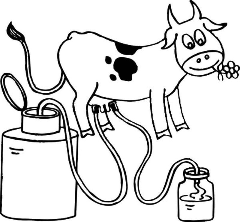 Cow With Bell Coloring Pages