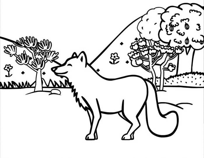 Coyote In Wild Animal Coloring Pages