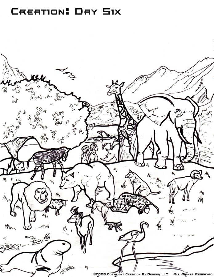 Creation Sixth Day Coloring Pages