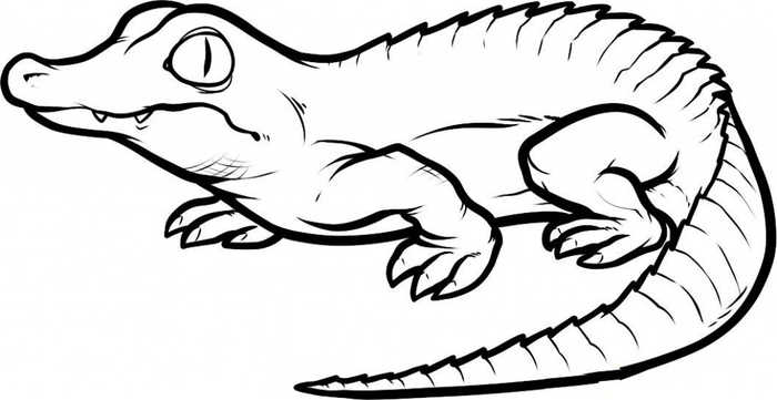 Croc Animal Coloring Pages