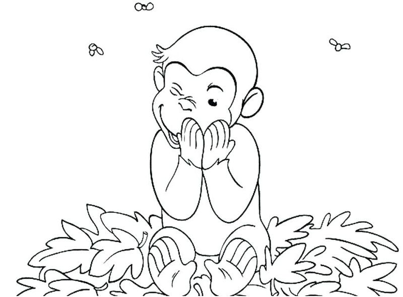 Curious George Coloring Book Pages Kids