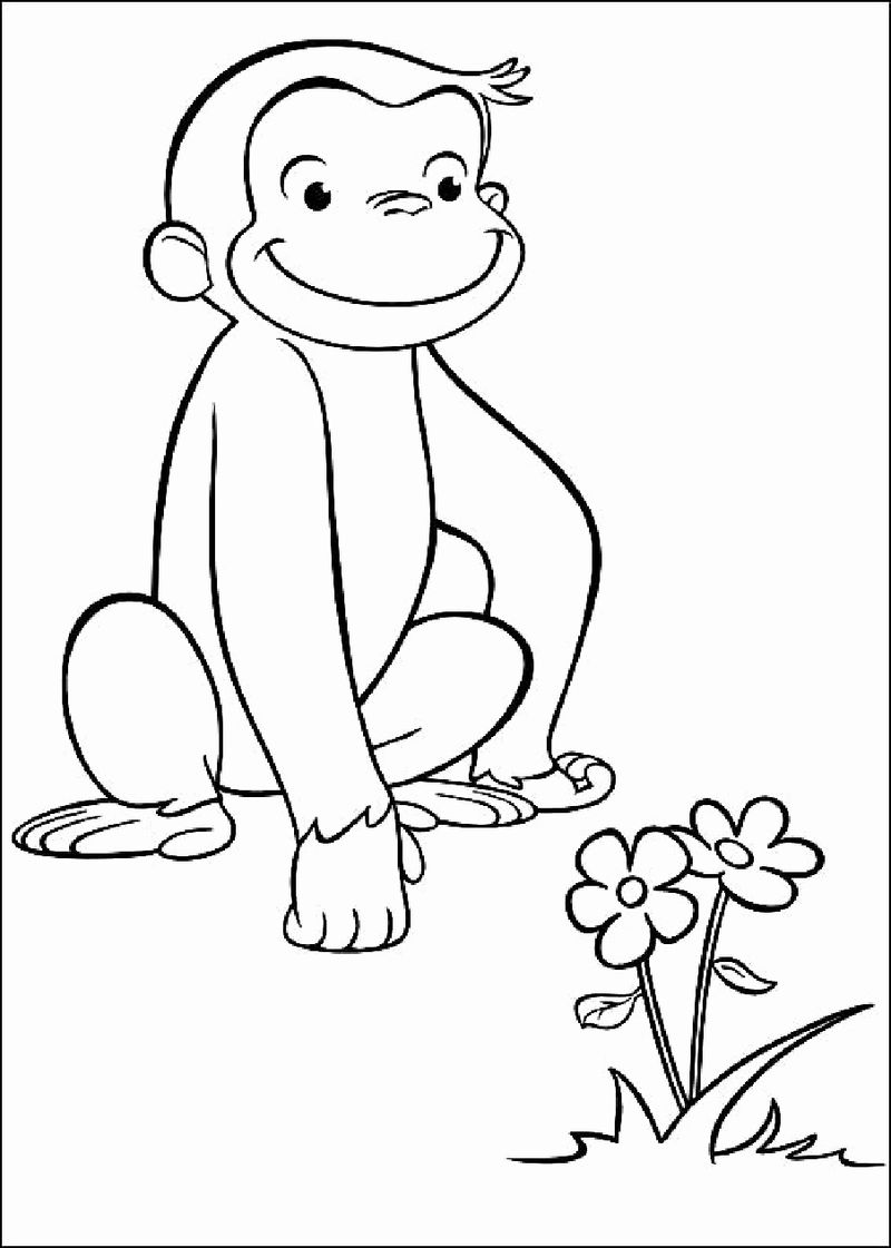 Curious George Coloring Pages Photos