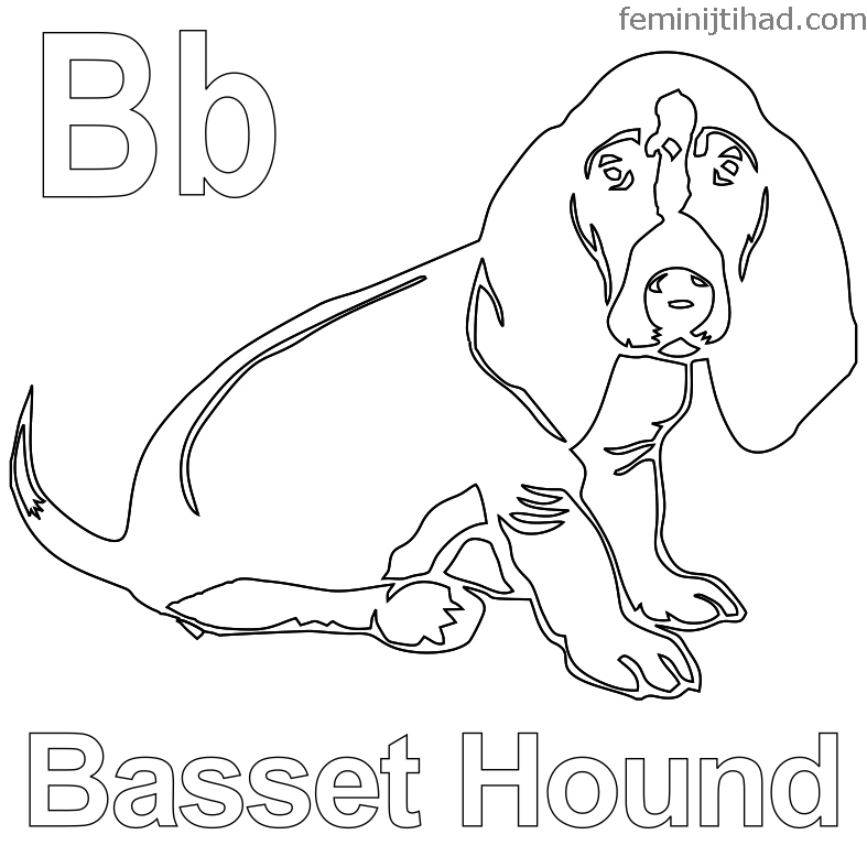 Cute Basset Hound Coloring Page Printable