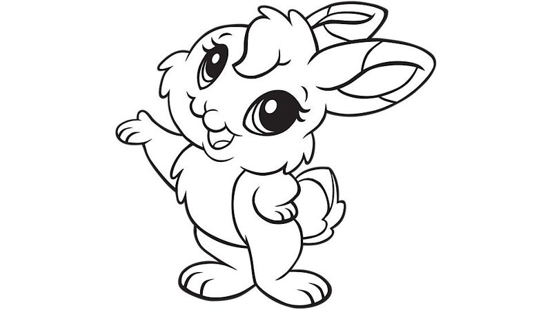 Cute Bunny Coloring Pages