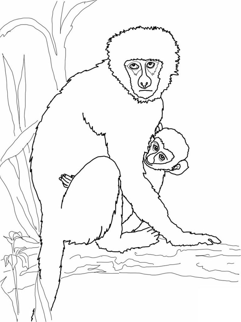 Cute Monkeys Coloring Sheet