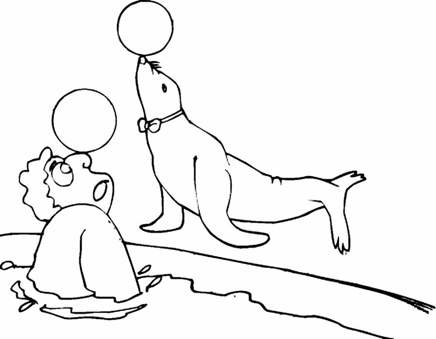 Cute Seal Coloring Pages