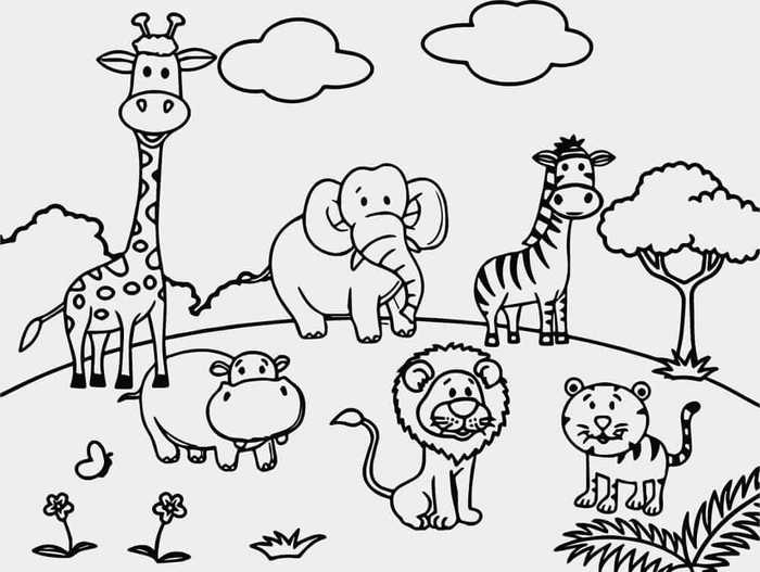 Cute Zoo Coloring Pages